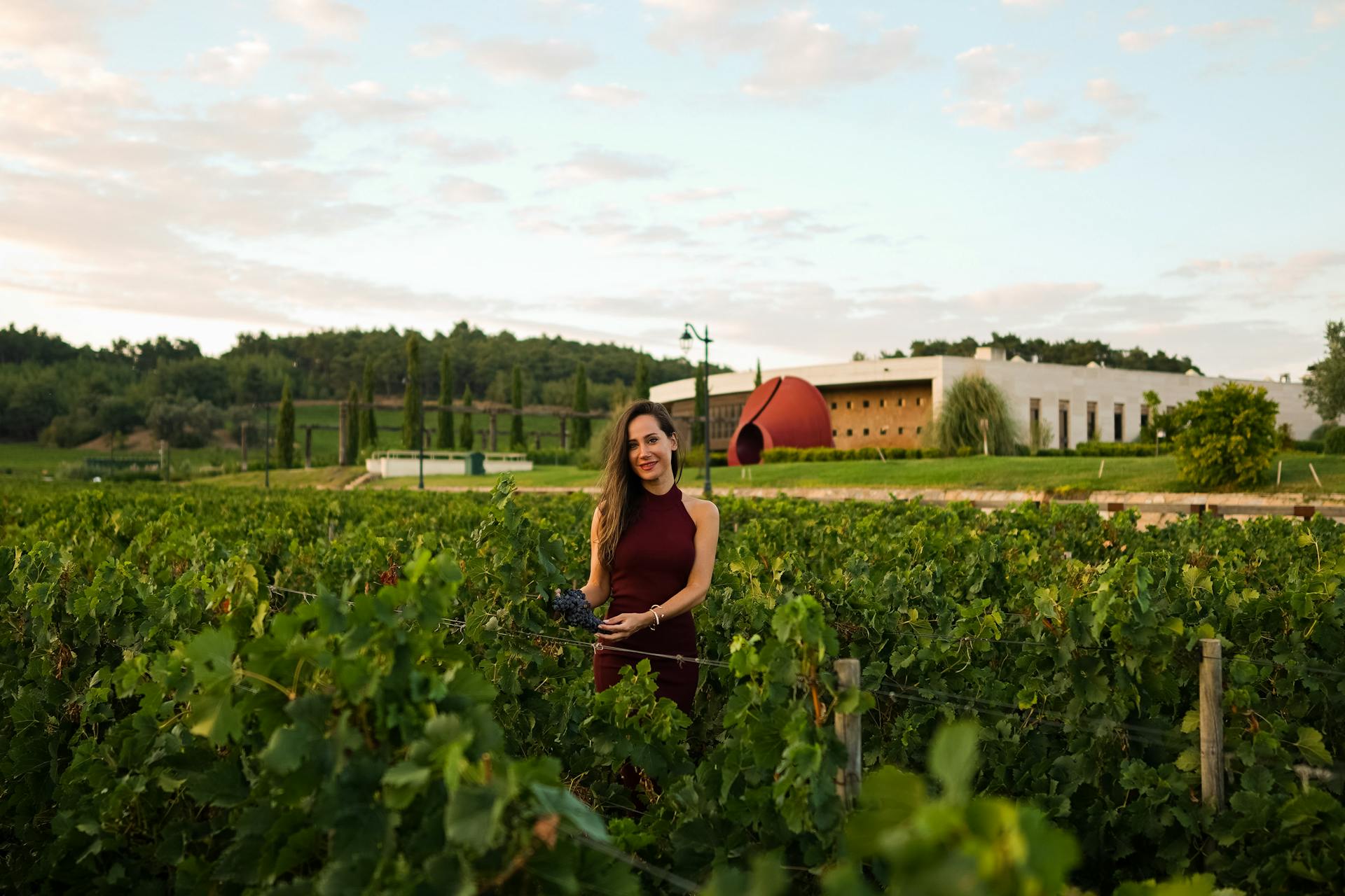 Private wine tour concierge